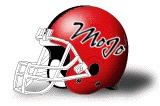 Minnesota Vikings